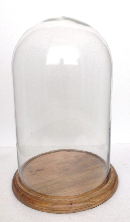 Fanal de cristal con base de madera